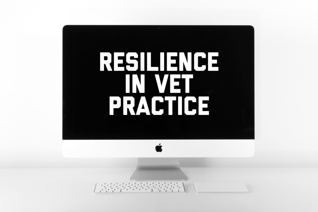 5 ways to boost workplace resilience in veterinary practice