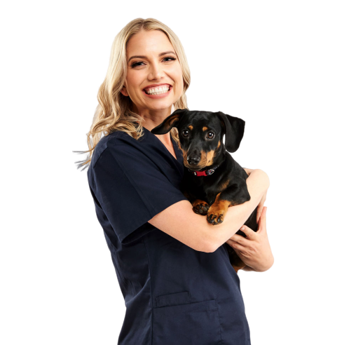 Doctor Claire Stevens Australia favourite veterinary consultant